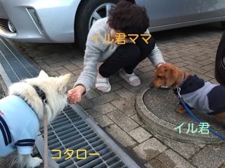 170225-i2.jpg