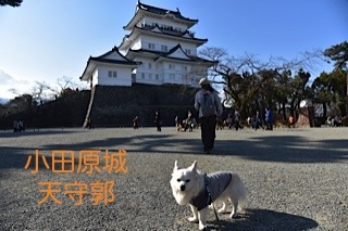 170304-k11.jpg