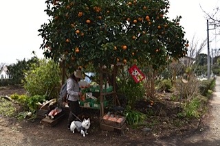 170304-k7.jpg