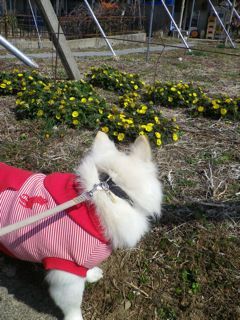 170313-4.jpg