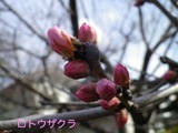 170315-1.jpg
