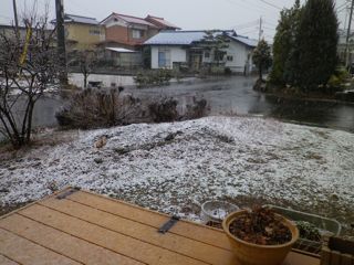 170321-1.jpg