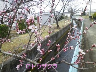 170322-1.jpg