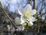 170327-4.jpg