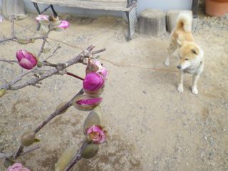 170406-1.jpg