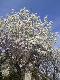 170410-1.jpg