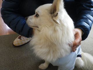 170412-4.jpg