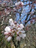 170413-1.jpg