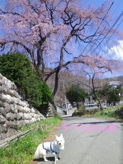 170413-3.jpg