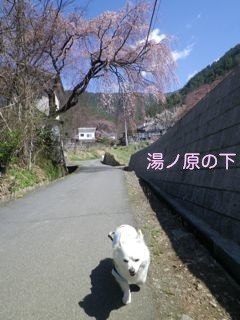 170413-4.jpg