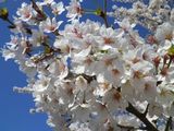 170420-1.jpg