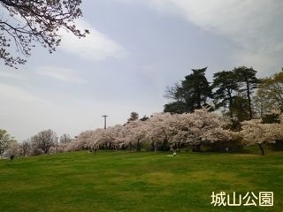 170420-5.jpg