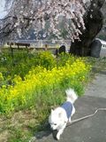 170422-1.jpg