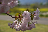 170430-k5.jpg