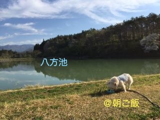 170505-k1.jpg
