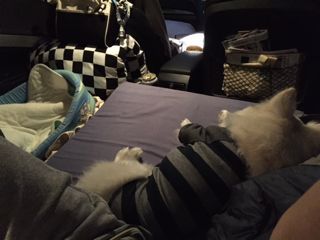 170505-k5.jpg