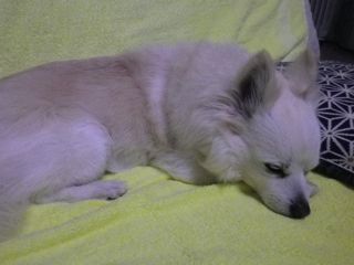 170506-1.jpg