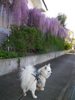 170508-1.jpg