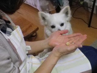 170513-4.jpg