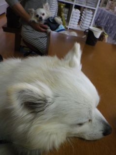 170517-4.jpg