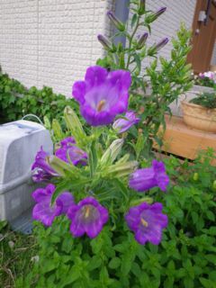 170601-2.jpg