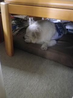170602-1.jpg