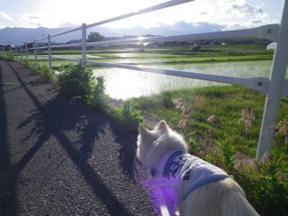 170602-3.jpg