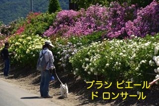 170604-k12.jpg
