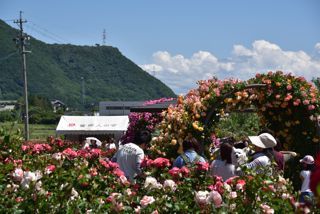 170604-k13.jpg