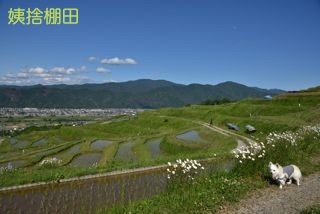 170604-k15.jpg