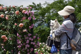 170604-k2.jpg