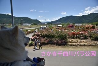 170604-k4.jpg