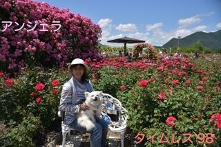 170604-k7.jpg
