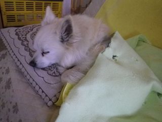 170614-1.jpg