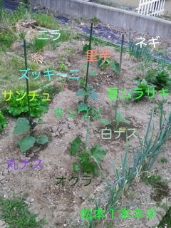 170626-3.jpg
