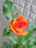 170628-1.jpg