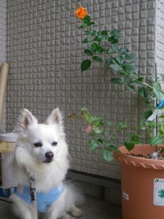 170629-1.jpg