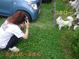 170704-1.jpg