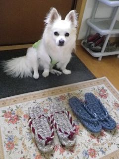 170705-2.jpg