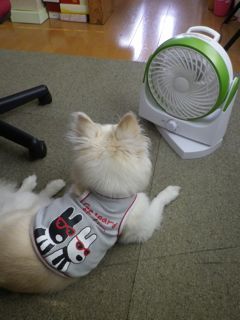 170713-1.jpg
