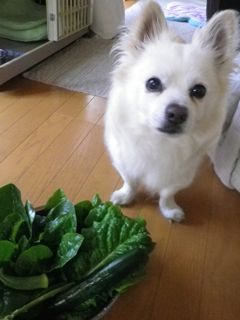 170715-2.jpg