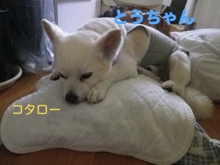 170717-2.jpg