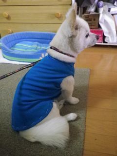 170720-5.jpg