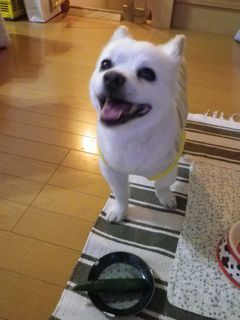 170721-4.jpg