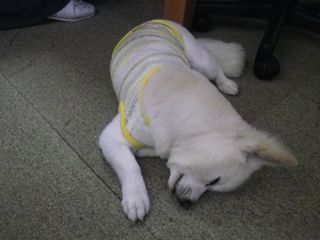170722-2.jpg