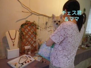 170722-4.jpg