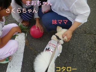 170727-2.jpg