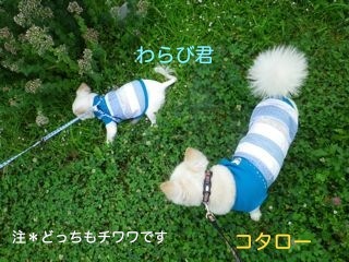 170801-5.jpg