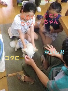170803-5.jpg