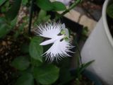 170815-3.jpg